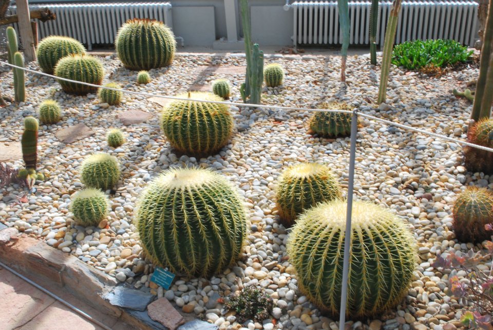 20170930_2936