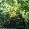 20170930_2880