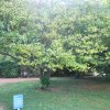 20170930_2883