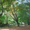 20170930_2886
