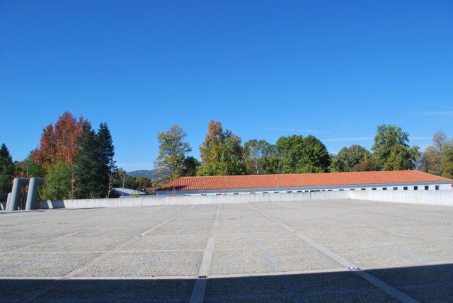 20171025_3058
