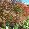 20171025_2990