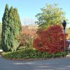 20171025_2994