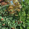 20171025_2995
