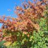 20171025_2996