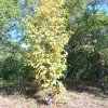 20171025_3010