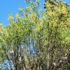 20171025_3021
