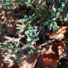 20171025_3032