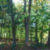 20171025_3065