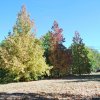 20171025_3066
