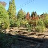 20171025_3069
