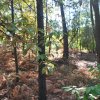 20171025_3078