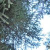 20171025_3084